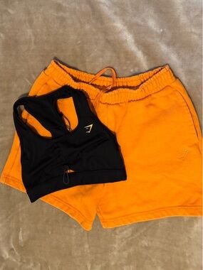 Gym shark bundle